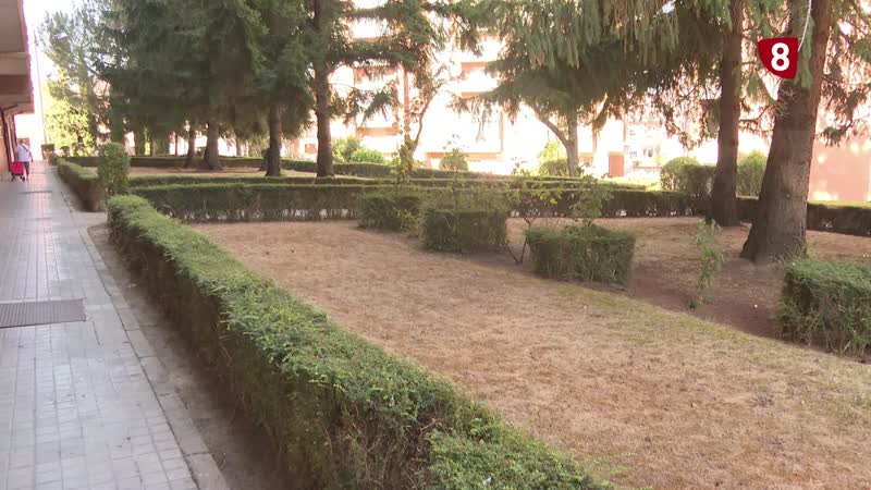 El Ayuntamiento ofrece ayuda del vivero municipal para recuperar los jardines