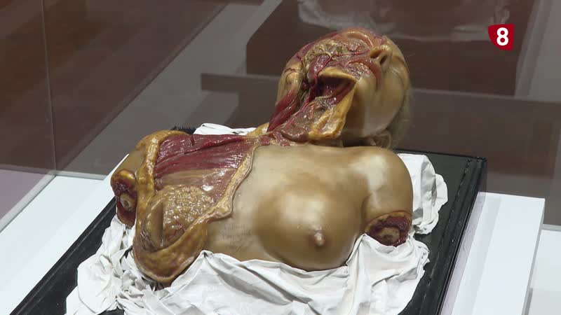 'Aprender anatomía hace un siglo'