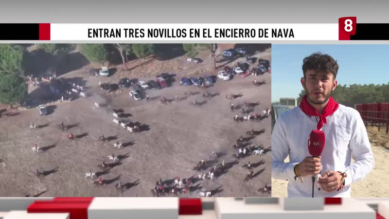 Encierro rápido en el que un novillo se queda fuera del recorrido