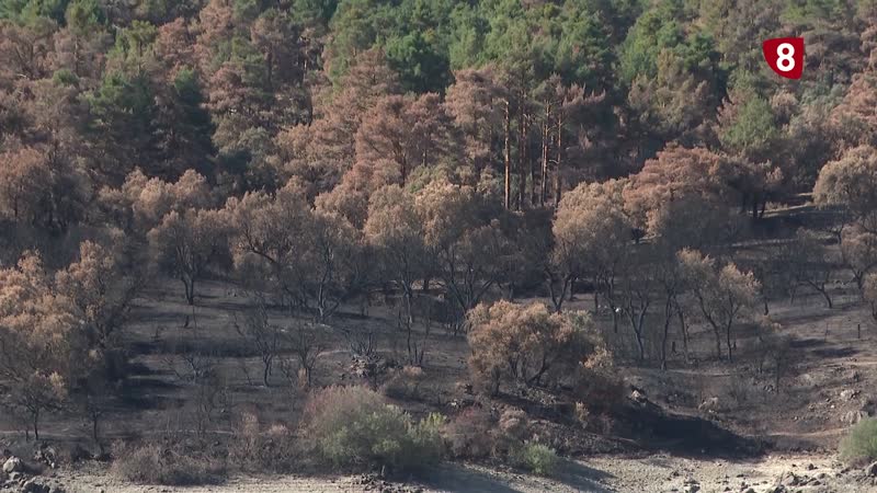 El PSOE exige a la Junta que incluya a Revenga en las ayudas por los incendios