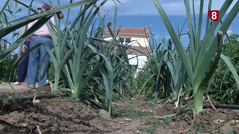 Aplicar criterios medioambientales a los trabajos fin de ciclo de FP