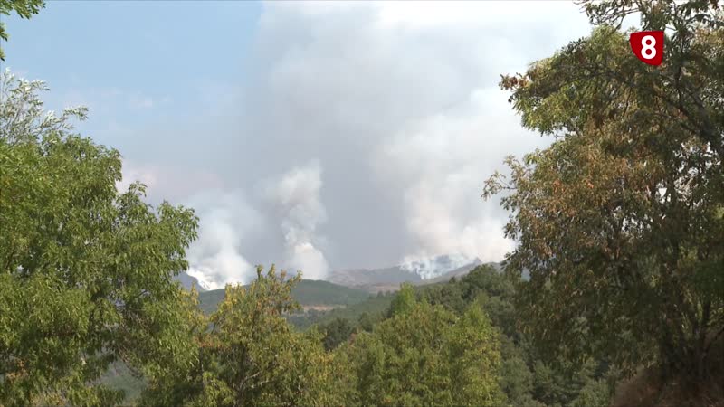 El Gobierno de España invierte 9,8 millones de euros en la restauración de zonas afectadas por incendios en la provincia de León