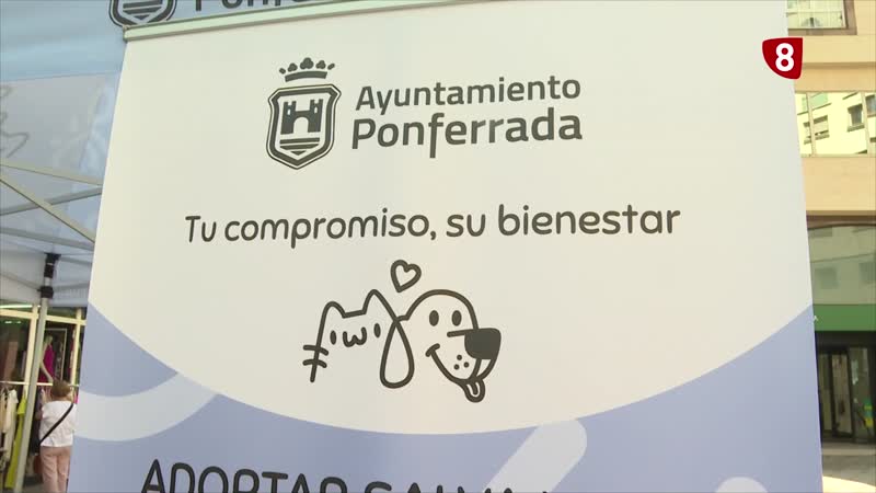 Promoción de la adopción responsables 