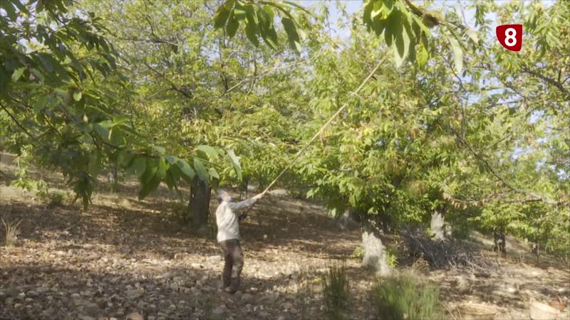Activos estratégicos de la bioeconomía