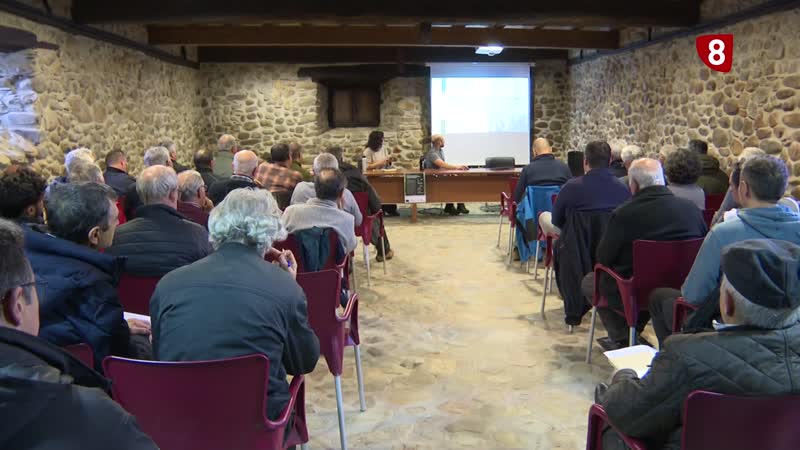 Aprendizaje en torno al chopo