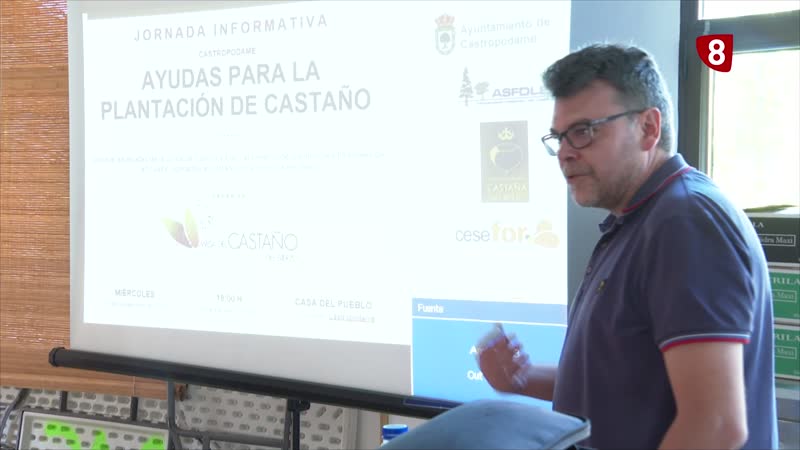 Ayuda a nuevas plantaciones de castaños en El Bierzo