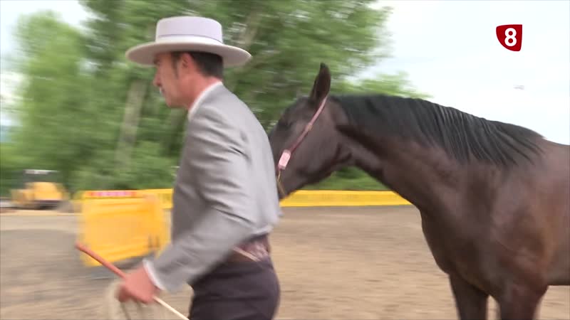 La Feria del Caballo de Camponaraya cierra con éxito