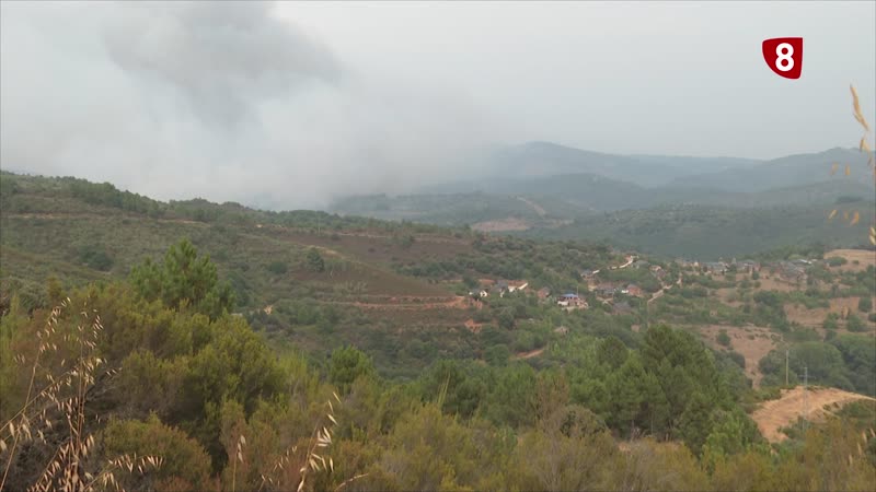 Una chispa eléctrica originó el incendio