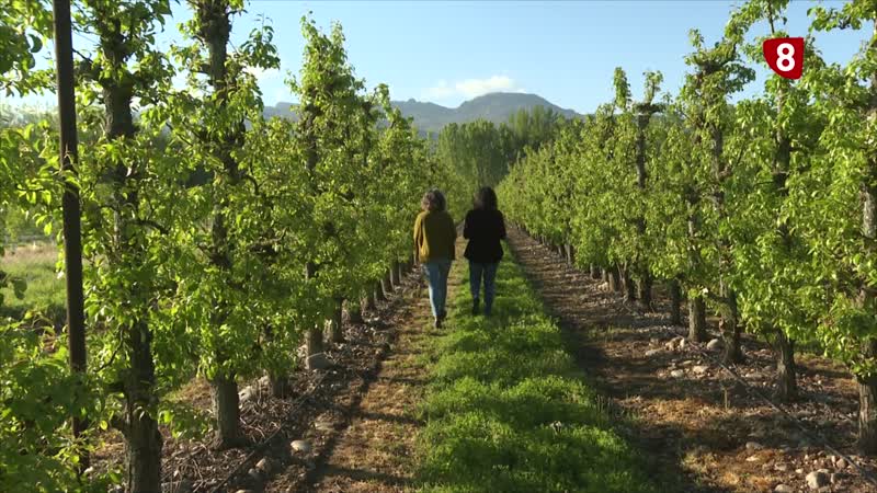 Decisivos para el campo