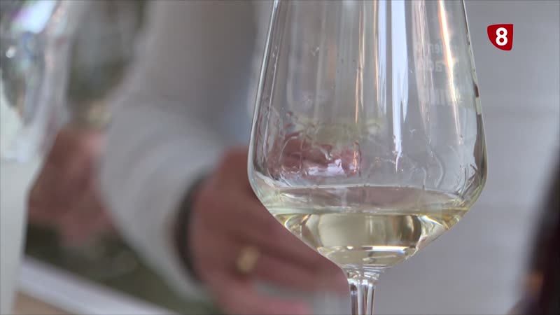 La guía Peñín otorga 100 puntos a un vino de la bodega de César Márquez