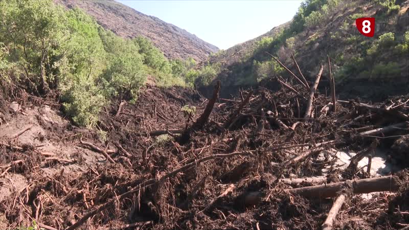 Tormenta devastadora