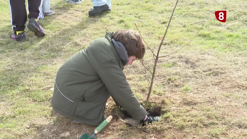 Regeneración y educación ambiental