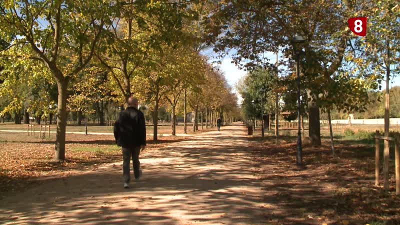 La jira del Curpillos regresará al Parral