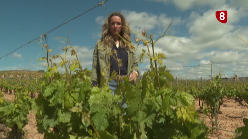 De directiva en Tesla a bodeguera en la Ribera