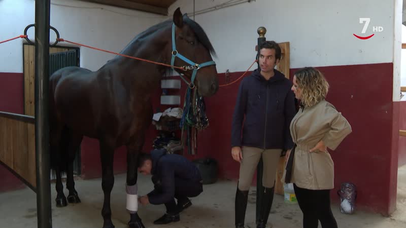 El Correvuela T3/E2: Razas de animales que compiten al más alto nivel