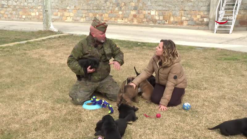 El Correvuela T3/E17: Animales de todas las razas, su cría y sus criadores en ganaderías