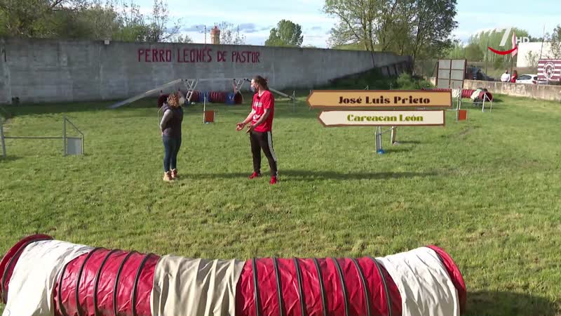 El Correvuela T3/E3: Perros de trabajo