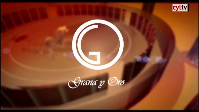 Grana y oro - Resumen 4