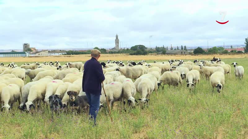 T2/E5: Vecinos de Riza, Adanero, Peñaranda de Bracamonte y Babilafuente