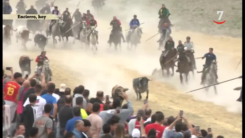 Quinto encierro de Cuéllar (29/08/2024)