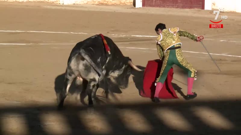 IV Circuito de Novilladas: Gran final en Sahagún, León