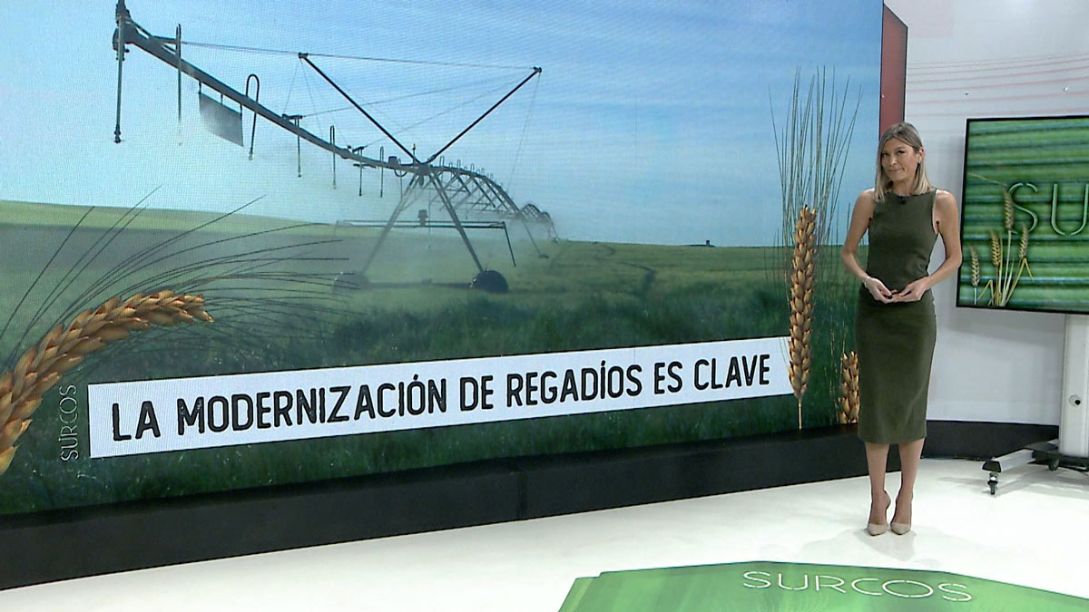 T16/E9: La gestión del agua en el punto de mira.