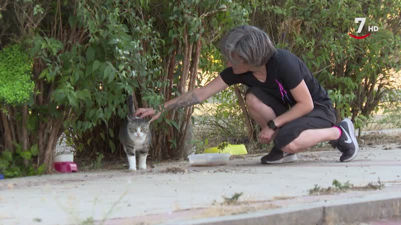 El Correvuela T3/E4:  Mascotas abandonadas y animales silvestres malheridos