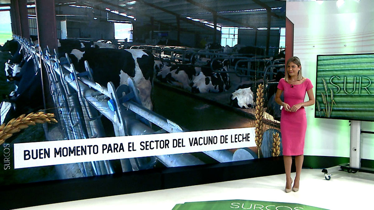 T16/E6: El vacuno de leche se enfrenta a un otoño marcado por los buenos precios.