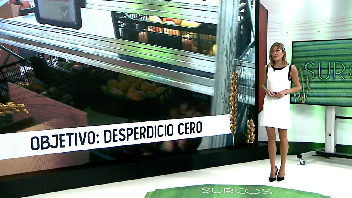 T16/E3: Objetivo: prevenir la perdida y el desperdicio de alimentos