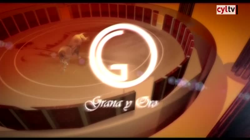 Grana y Oro - Primer Especial