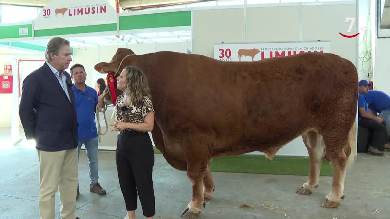 El Correvuela T3/E9: Las principales razas de vacuno de España y el perro de agua español 
