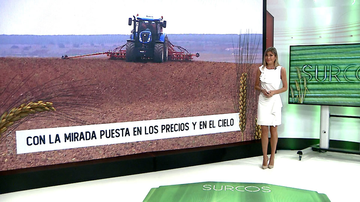 T16/E4: El precio del cereal preocupa al agricultor justo cuando está a punto de comenzar la sementera. 