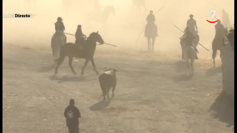 Segundo encierro de Cuéllar (26/08/2024)