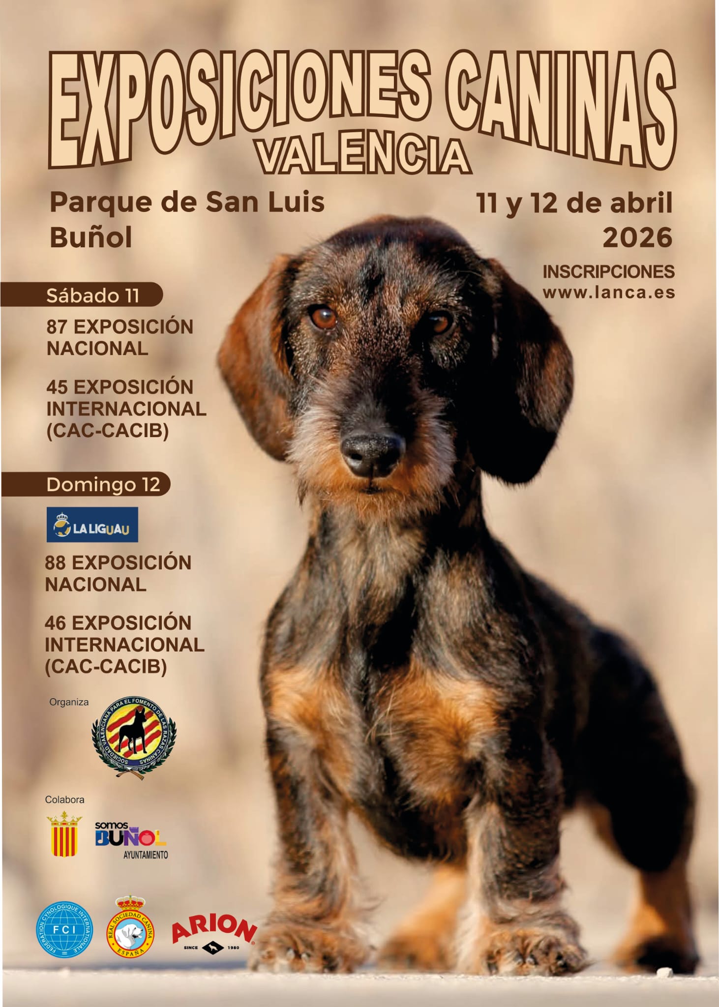 Buñol acoge este sábado y domingo las Exposiciones Caninas Nacional e Internacional de Valencia, que se celebrarán en el Parque de San Luis