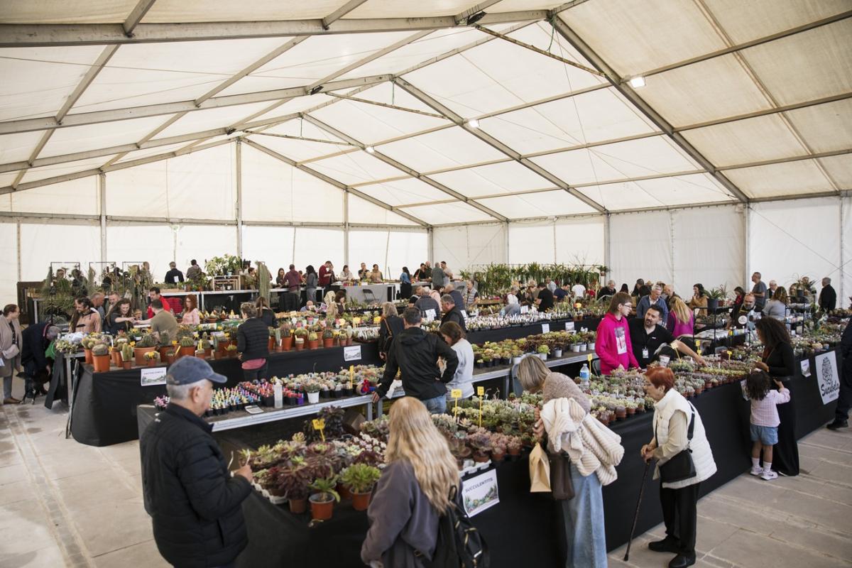 Centenares de personas visitan la VI Feria del Medio Ambiente de Cheste