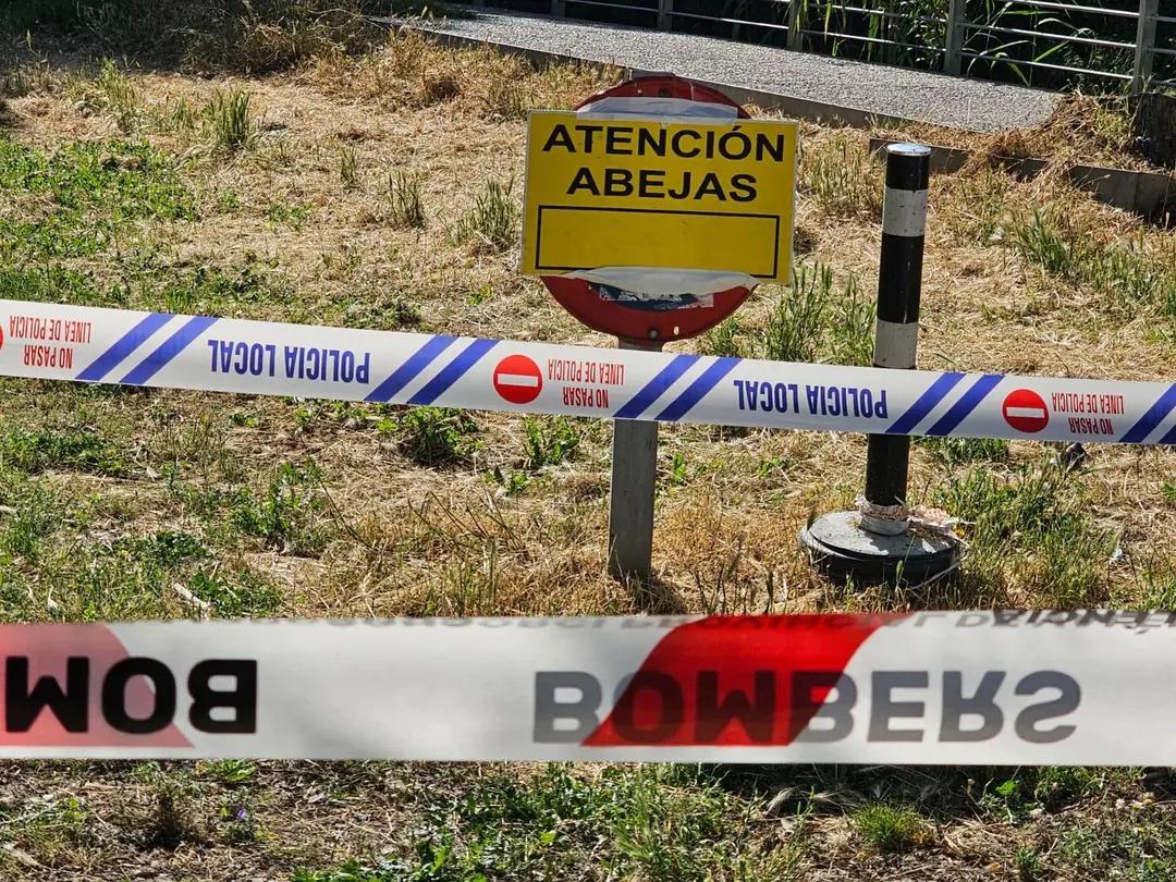 AVISO DE UN ENJAMBRE DE AVISPAS EN LA ZONA DEL PÁRKING DE LA PISCINA