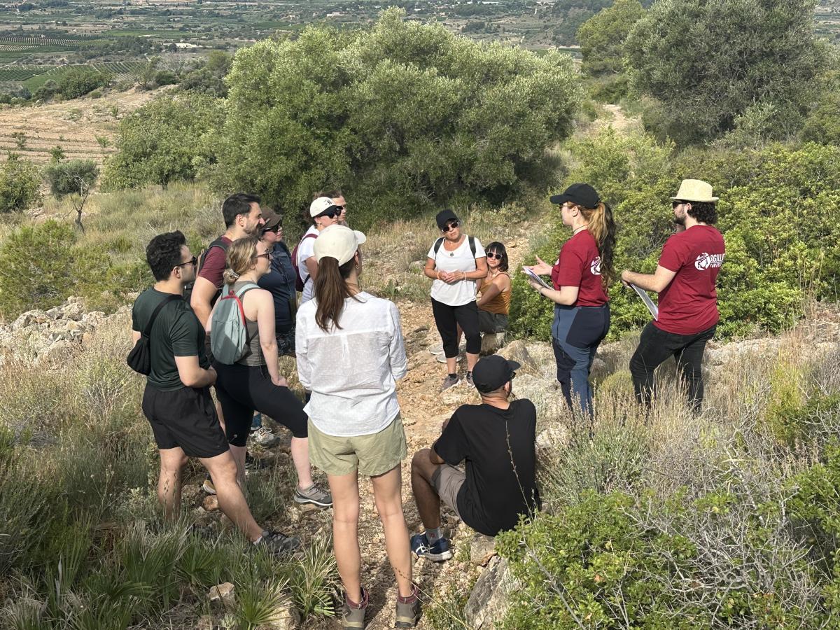 Turís abre las puertas a la ciudad ibero-romana de La Carència este verano