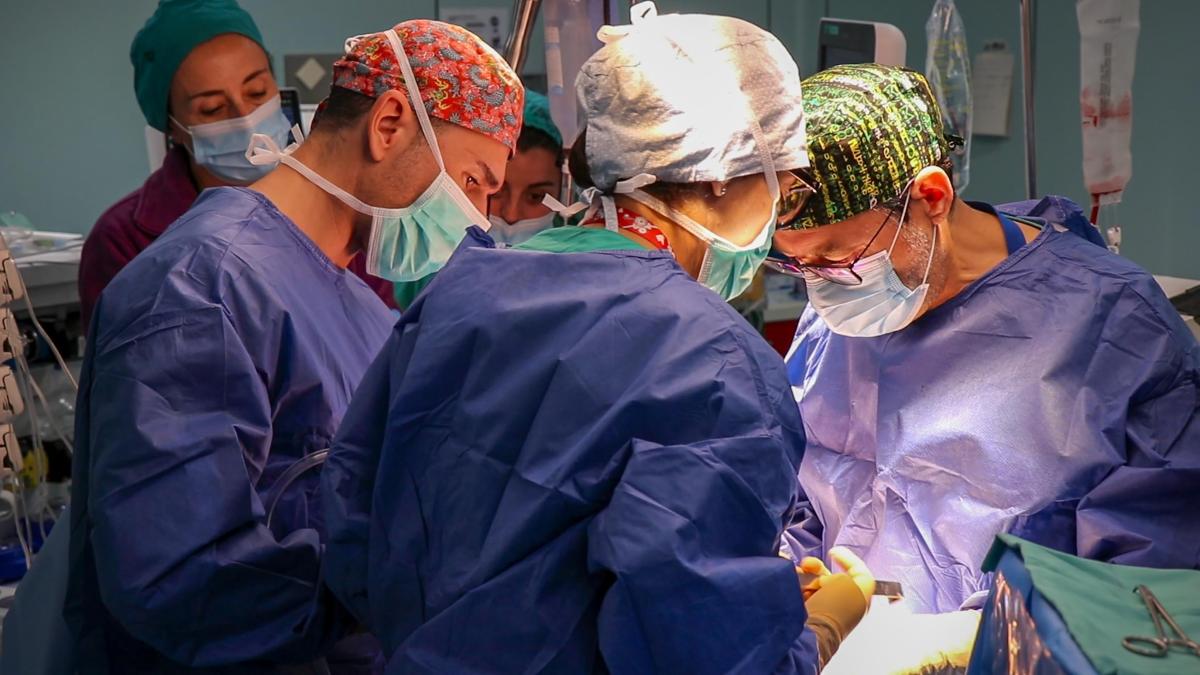 El Hospital La Fe registra diez trasplantes renales de donantes vivos en el primer semestre de 2026