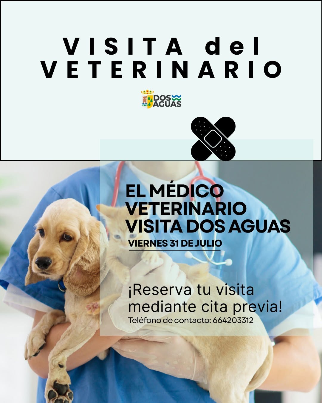 El Ayuntamiento de Dos Aguas informa que el próximo 31 de julio el veterinario visitará la localidad para ofrecer sus servicios