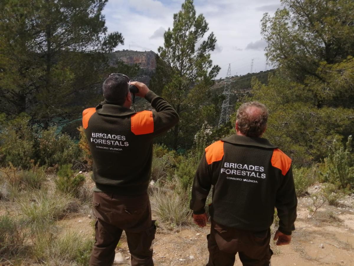 El Consorcio de Bomberos está reforzando estos días su dispositivo forestal frente al riesgo extremo de incendios por las altas temperaturas