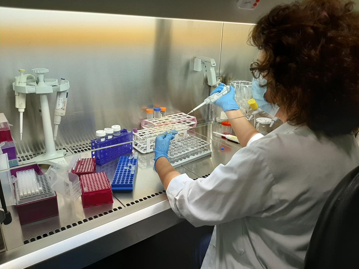 Las fundaciones de investigación sanitaria de la Generalitat suman más de 1.000 actuaciones dirigidas a combatir o prevenir el cáncer