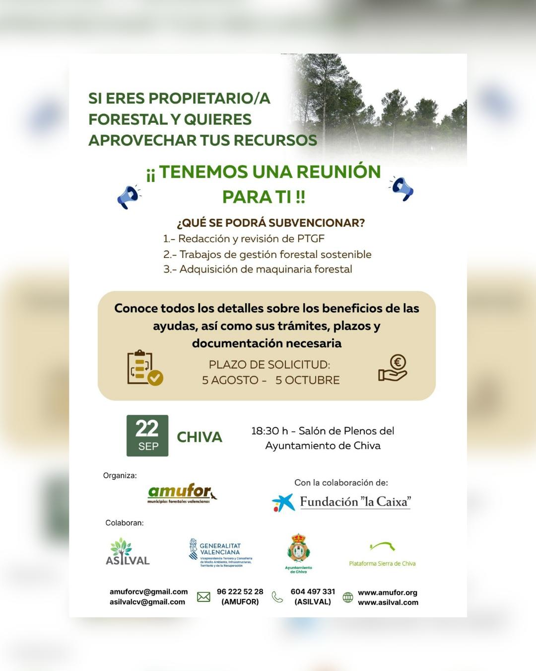 Chiva acoge una reunión informativa sobre ayudas para propietarios forestales el próximo martes 22 de septiembre
