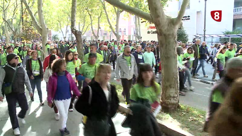 Más de 55 000 andarines tiñen Valladolid de verde solidaridad frente al cáncer
