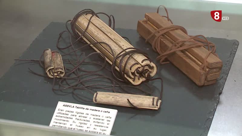 La importancia del latín y el griego en la medicina a través de una exposición