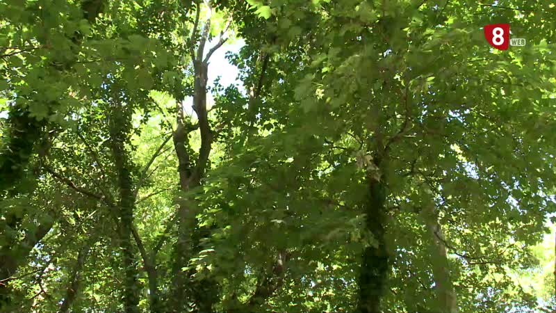 Tecnología e innovación para mantener en forma la salud del Campo Grande