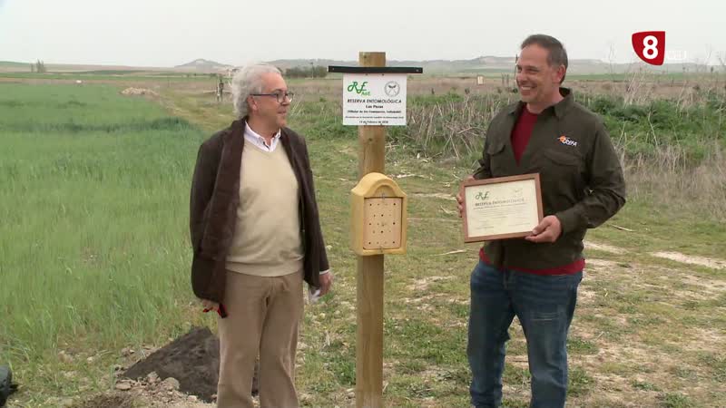 'Las Pozas' de Villalar de los Comuneros es declarada Reserva Entomológica 