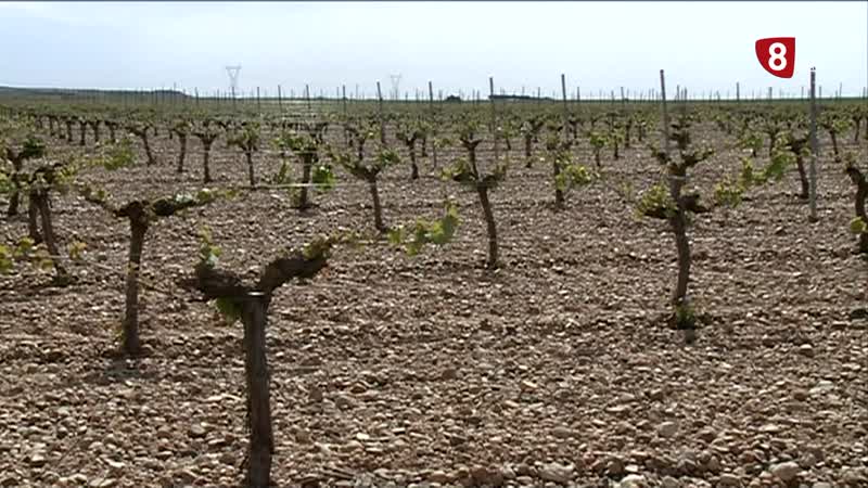 Rueda  blinda su producto estrella