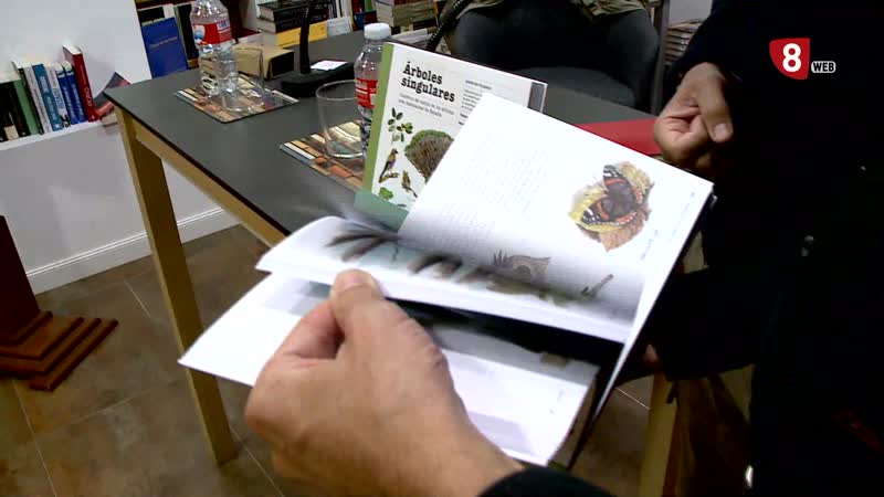 El pino de la Virgen de Sacedón de Pedrajas entre los árboles más singulares de España