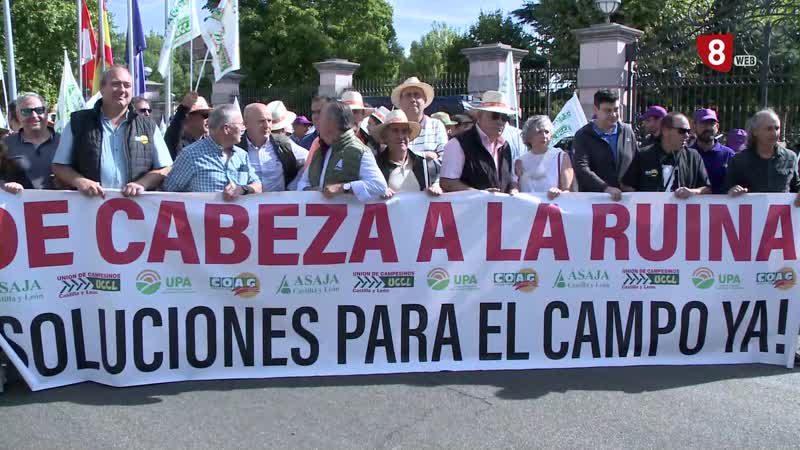 La próxima campaña del cereal, en peligro