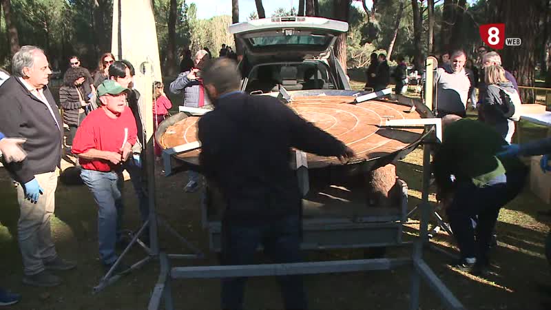 Voltean una tortilla de 200 kg por el Día de la Vieja en Laguna de Duero